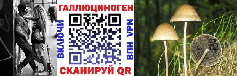 Галлюциногенные грибы MAGIC MUSHROOMS  купить закладку  Татарск 