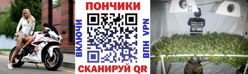 Конопля план Татарск